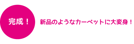 新品のようなカーペットに大変身！