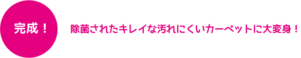 除菌されたキレイな汚れにくいカーペットに大変身！